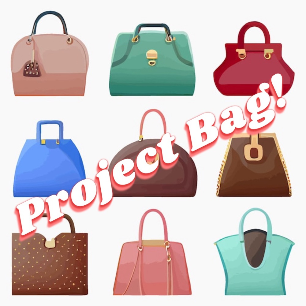 PROJECT BAG SOLD AS IS